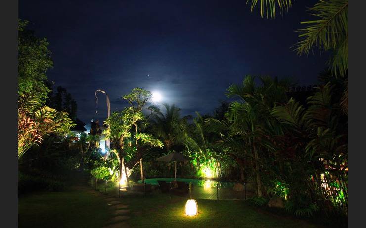  Villa Arya Bali - Pemandangan
