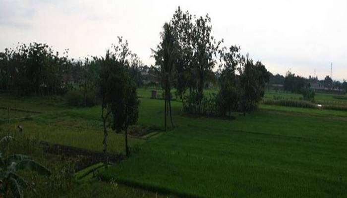  Rumah Kayen Yogyakarta - Pemandangan