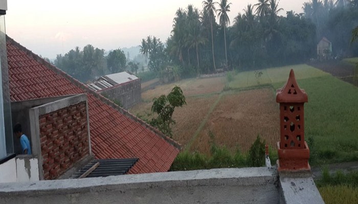  Omah Dusun Padi View Yogyakarta - Pemandangan