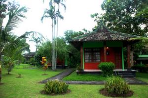  Poeri Devata Resort Hotel Yogyakarta - Garden